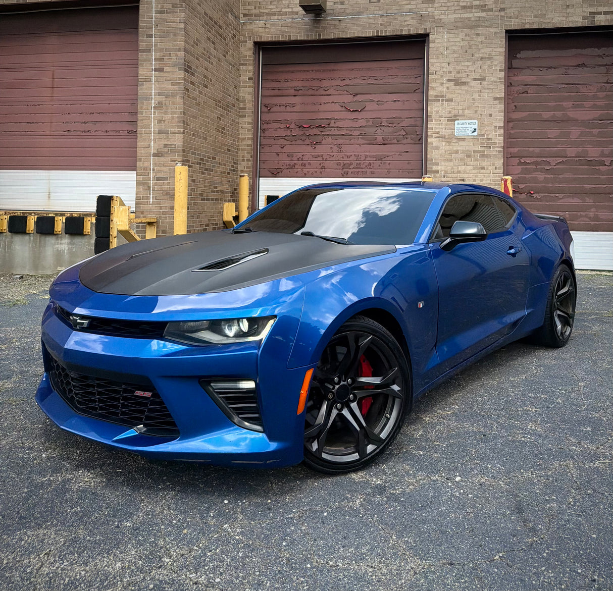 1LE